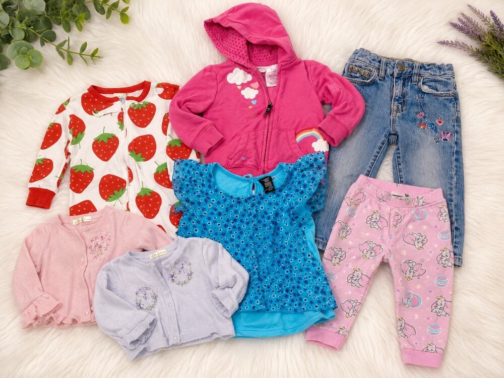 24 Month Baby Clothing Bundle Paul Frank Hoodie Embroidered Jeans Dumbo 8 Pcs